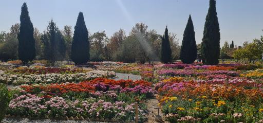 عکس پارکینگ باغ گیاهشناسی