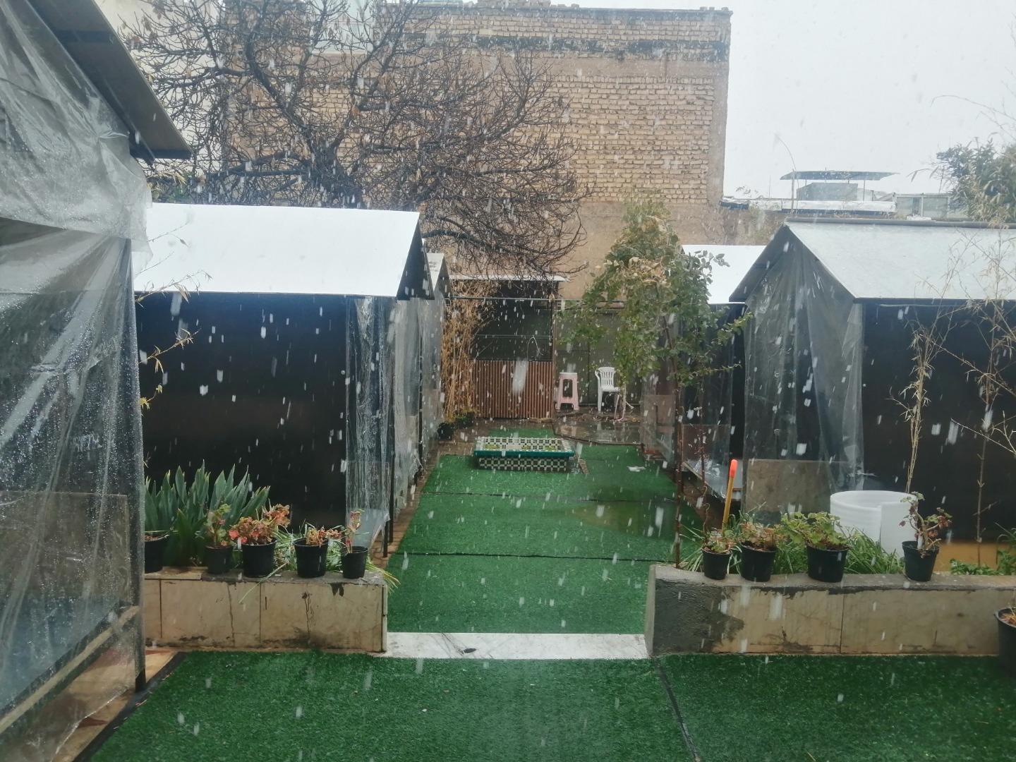 عکس کافه و رستوران آویشا