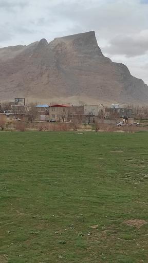 عکس فر