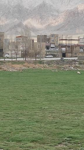 عکس فر