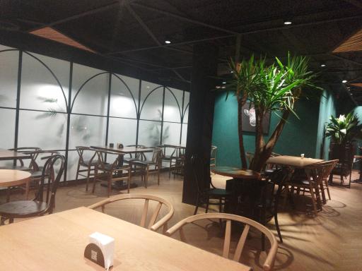 عکس استیک دونرز