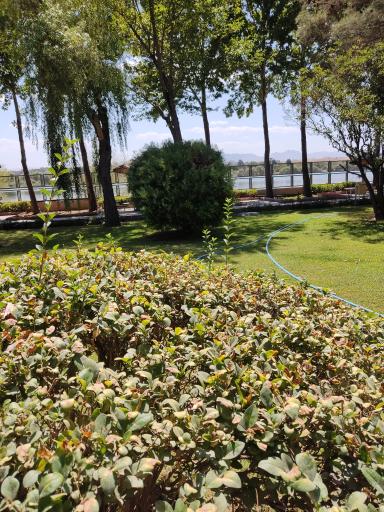 عکس مجموعه تفریحی فجر ذوب آهن اصفهان