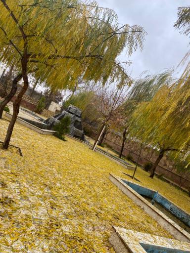 عکس تالار پاسارگاد