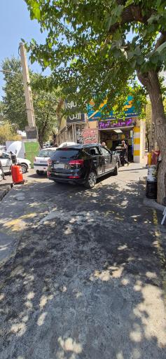 عکس اتوسرویس گیرپاژ