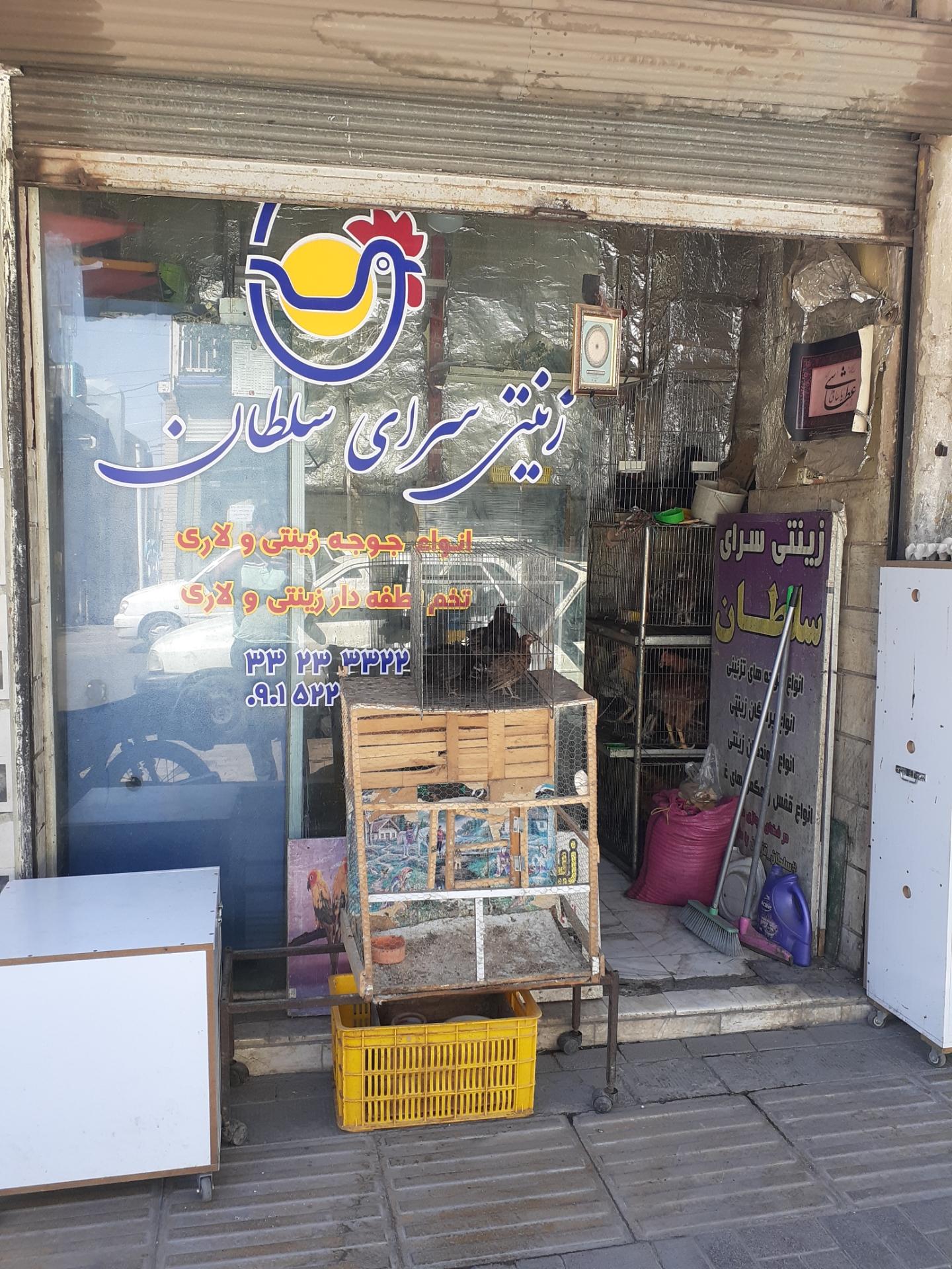 عکس زینتی سرای سلطان