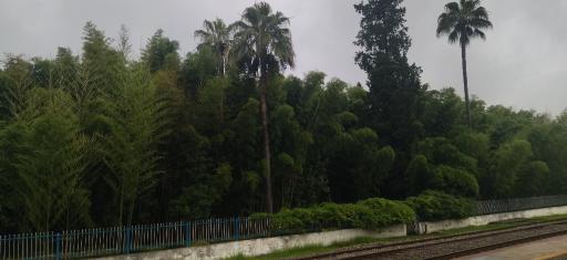 عکس باغ ویلای جنگلی آرامش