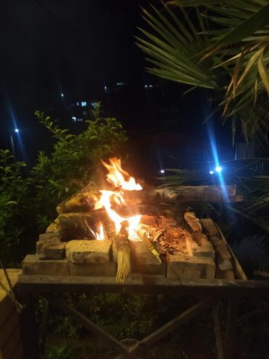 عکس باغ ویلای جنگلی آرامش