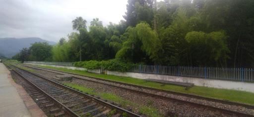 عکس باغ ویلای جنگلی آرامش