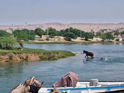 عکس شوشتر