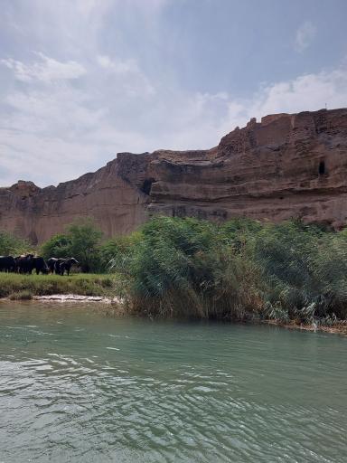 عکس شوشتر