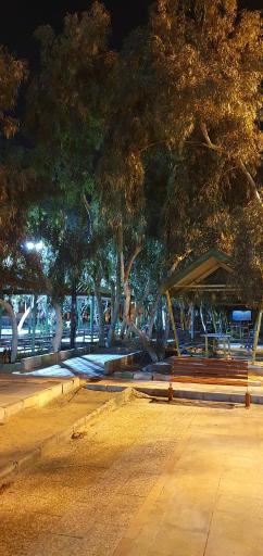 عکس پارک نرگس