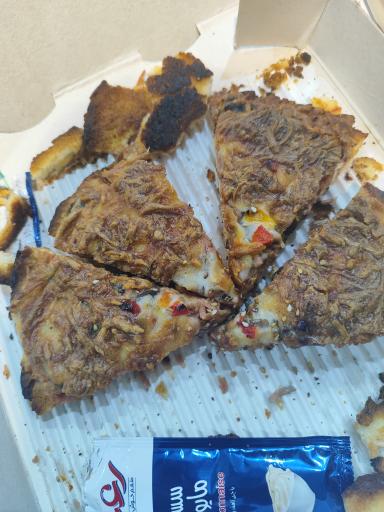 عکس ساندویچی پانیذ