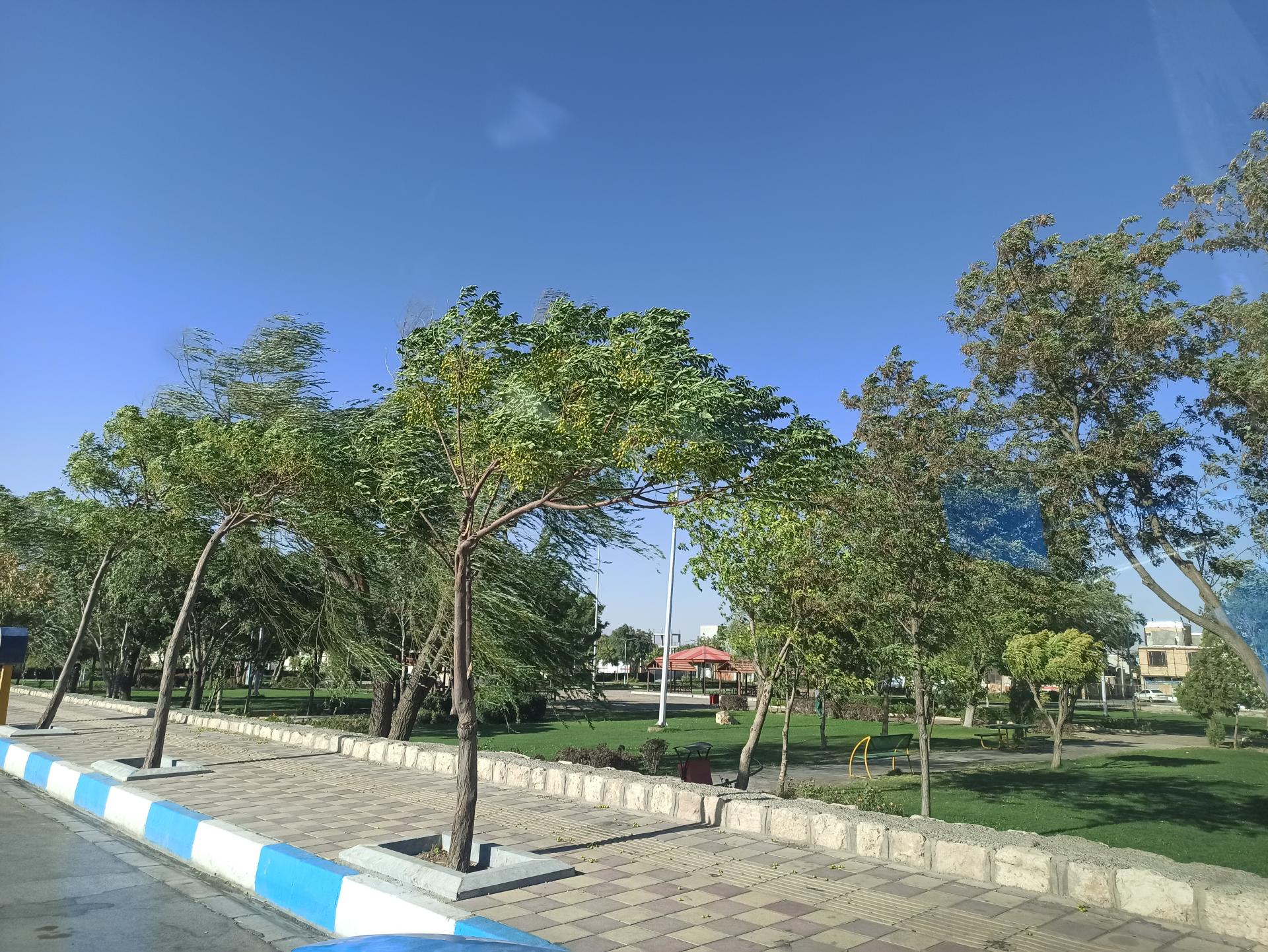 عکس پارک لاله