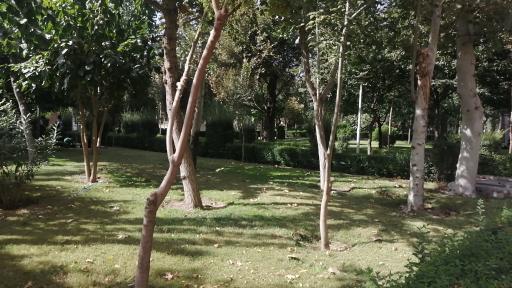 عکس بوستان شریف