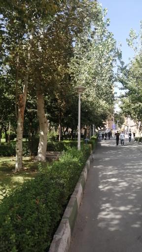 عکس بوستان شریف