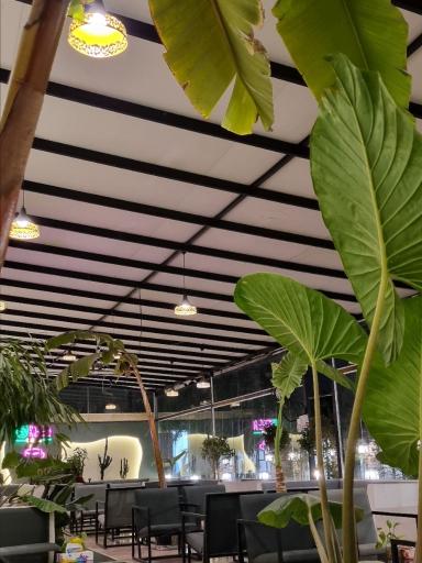 عکس کافه گرین