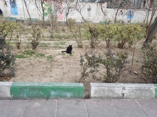 عکس بوستان مدیریت