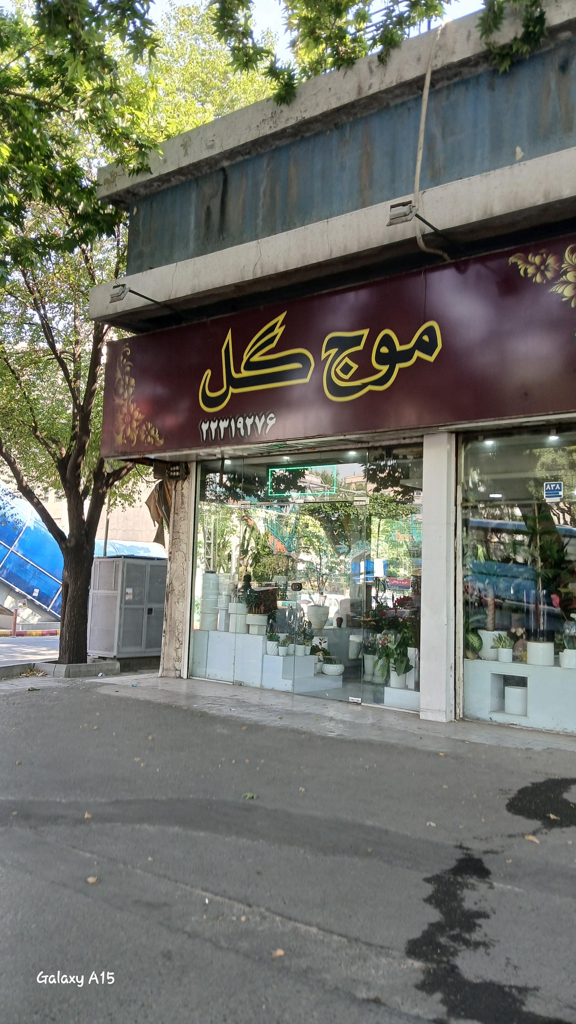 عکس گل فروشی موج گل