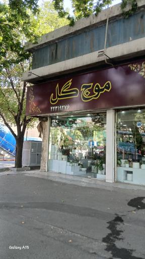 عکس گل فروشی موج گل