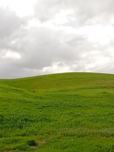 عکس دیواندره