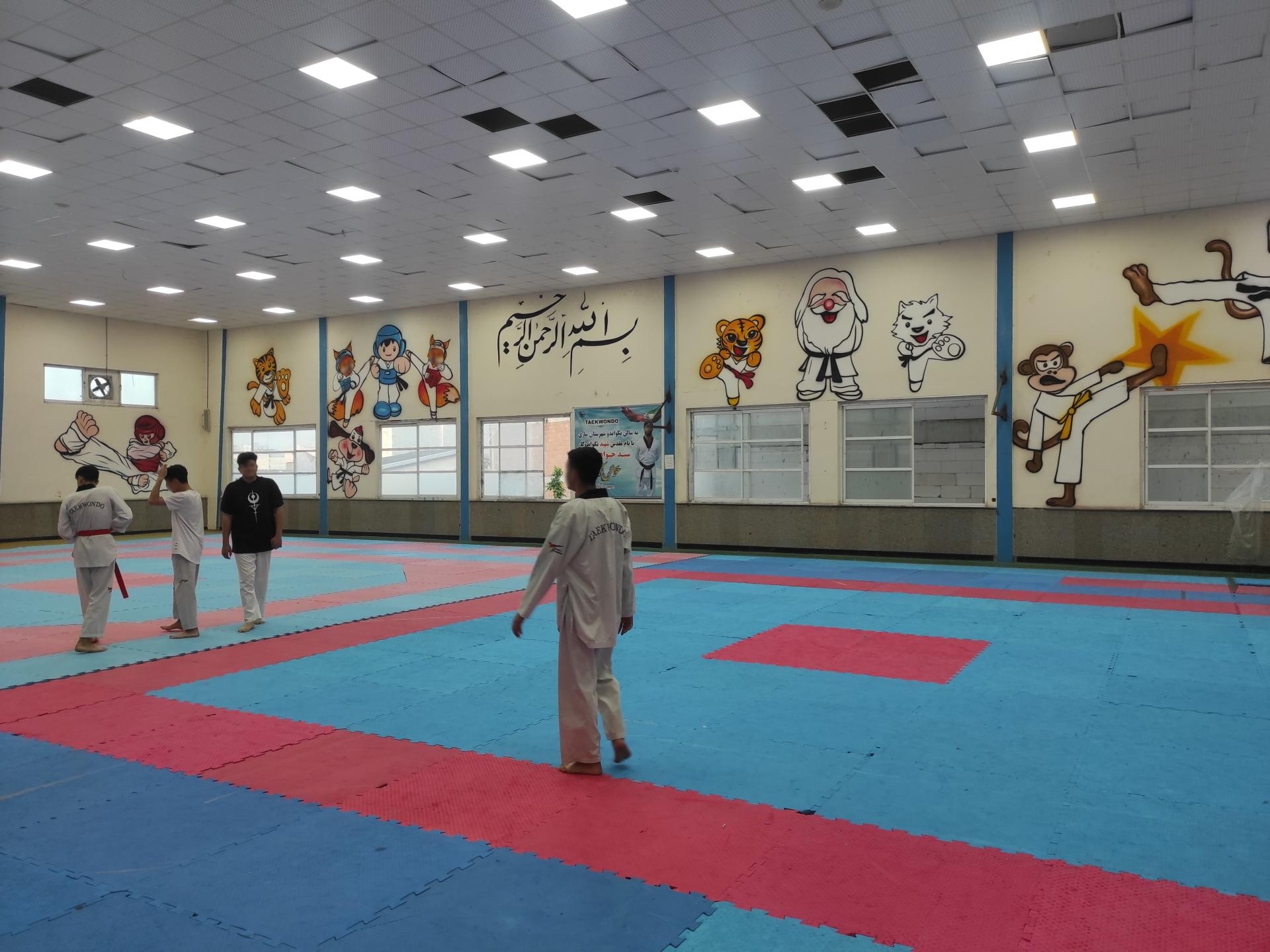 عکس خانه تکواندو ساری