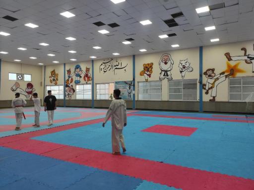 عکس خانه تکواندو ساری