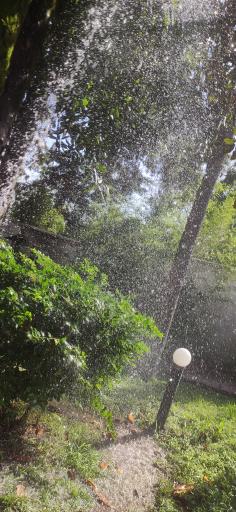 عکس مهمانسرای سها سلمانشهر