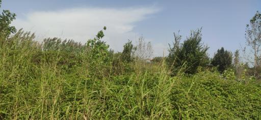 عکس مهمانسرای سها سلمانشهر