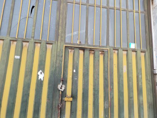 عکس گنجینه بلوط پارسا