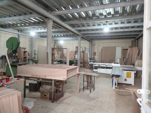 عکس گنجینه بلوط پارسا