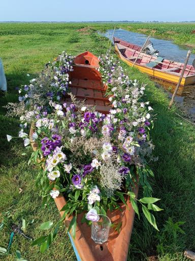 عکس اسکله قایق سواری تفریحی گردشگری مرداب آبکنار  