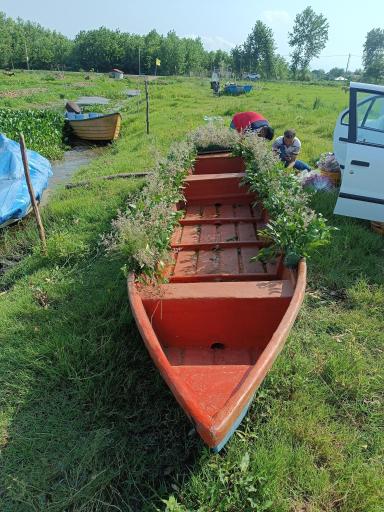 عکس اسکله قایق سواری تفریحی گردشگری مرداب آبکنار  