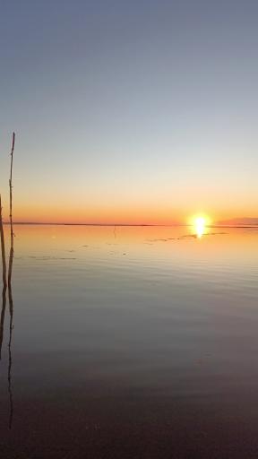 عکس اسکله قایق سواری تفریحی گردشگری مرداب آبکنار  