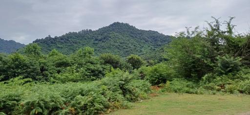 عکس احمدسر گوراب