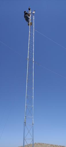 عکس شرکت آراد رایانه