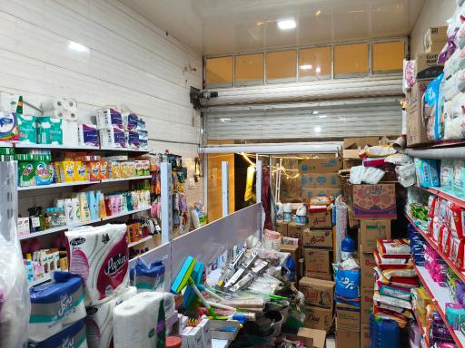 عکس شوینده بهداشتی میخک