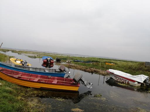 عکس اسکله قایق سواری تفریحی گردشگری مرداب آبکنار  