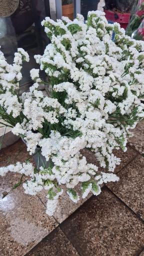 عکس گل تاینی