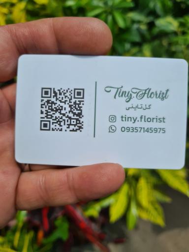 عکس گل تاینی