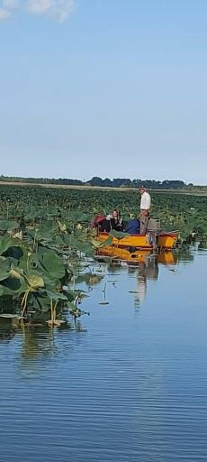 عکس اسکله قایق سواری تفریحی گردشگری مرداب آبکنار  