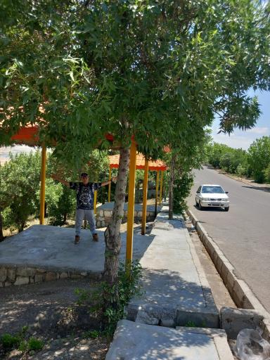 عکس پارک جنگلی بنفشه