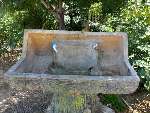 عکس پارک جنگلی بنفشه