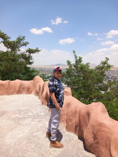 عکس پارک جنگلی بنفشه