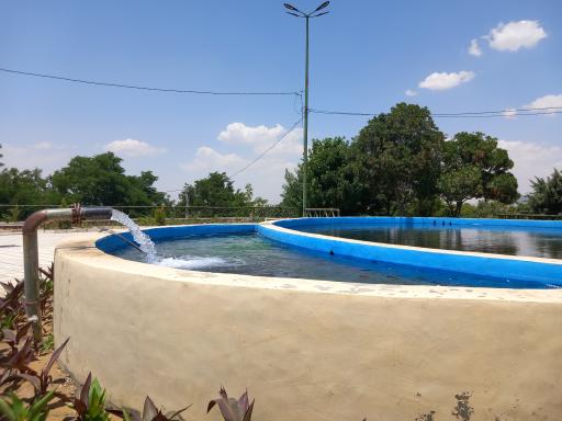 عکس پارک جنگلی بنفشه