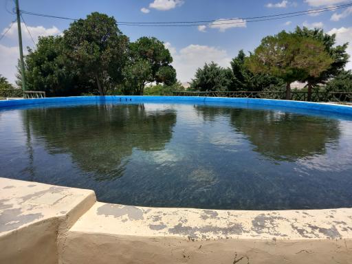 عکس پارک جنگلی بنفشه