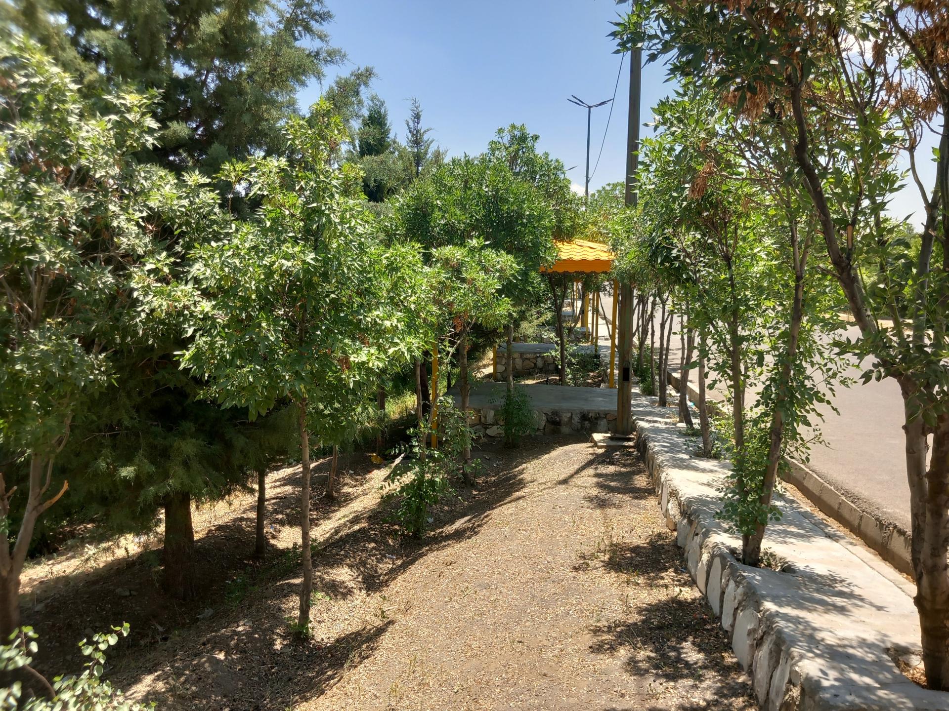 عکس پارک جنگلی بنفشه