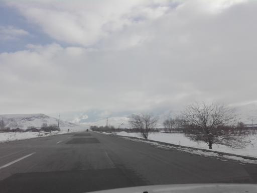 عکس پارک جنگلی بنفشه