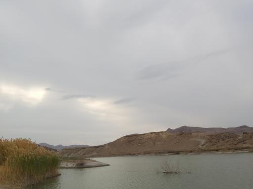 سد بیهود