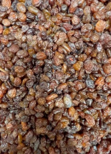 فروشگاه زعفران راه چمني