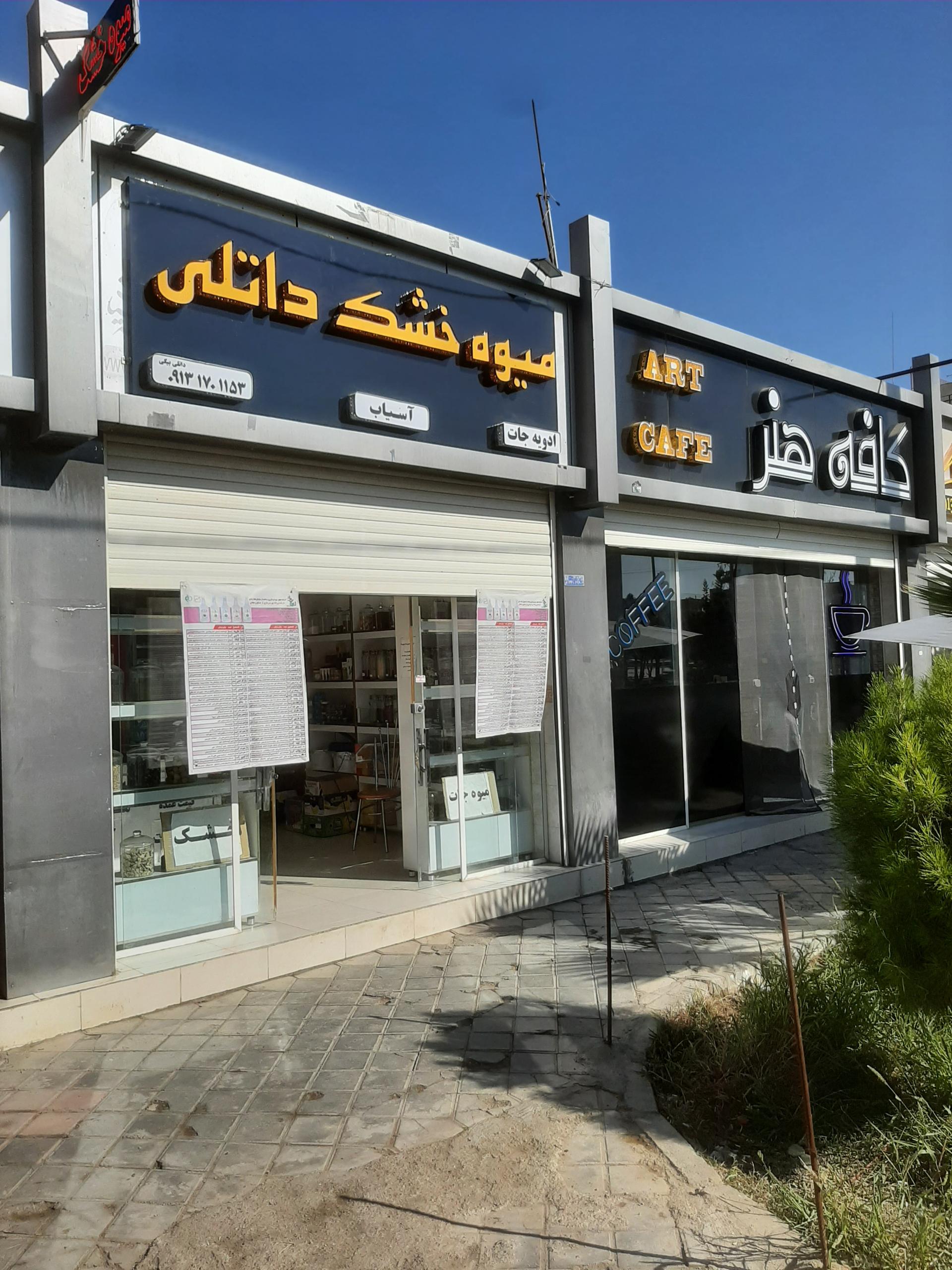 عکس میوه خشک داتلی
